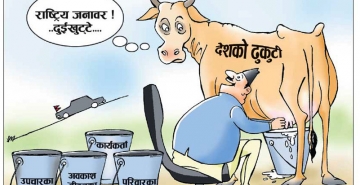 cartoon